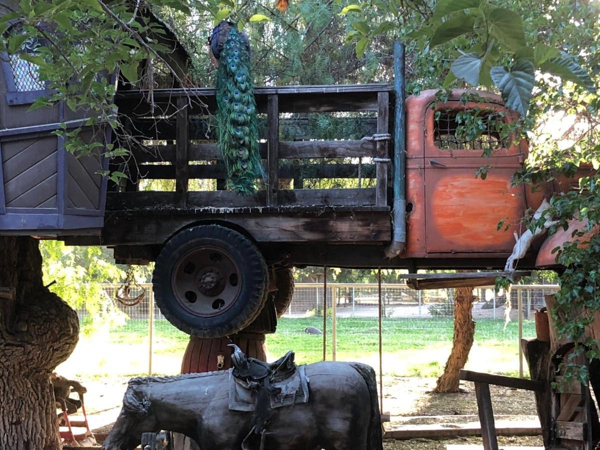 Wine Country Private Working Sheep Farm; Rustic Elegance Villa Temecula Eksteriør bilde